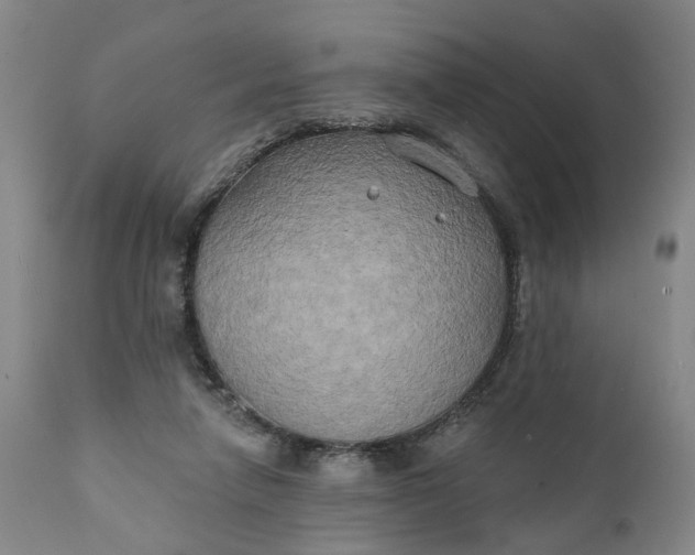 X0000111240258200907161348