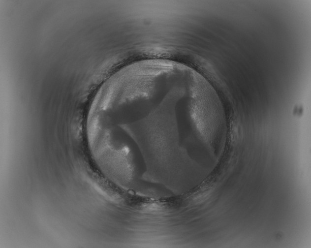 X0000111240259200907161348