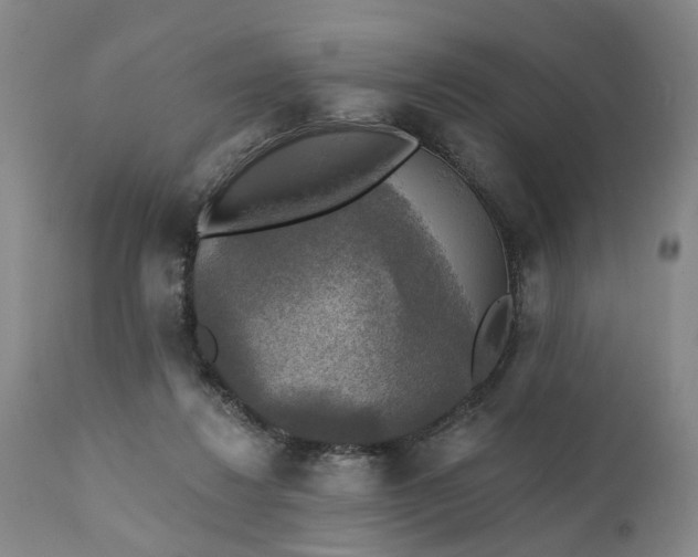 X0000111240260200907161348