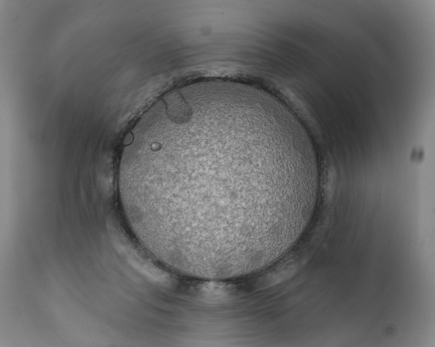 X0000111240261200907161348