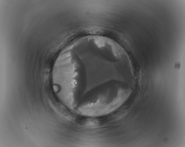 X0000111240263200907161349