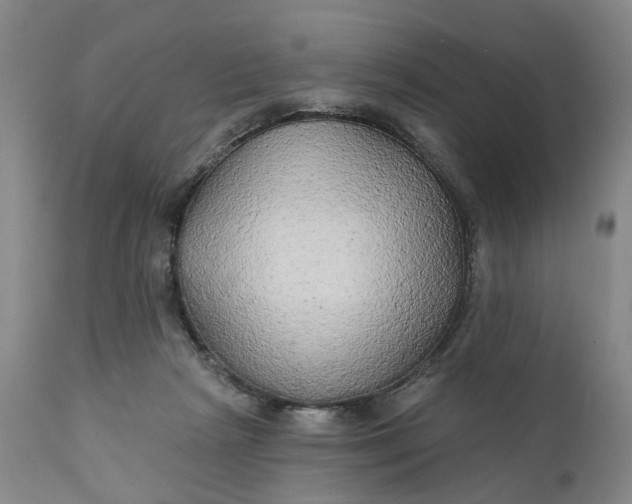 X0000111240265200907161349