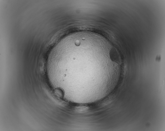 X0000111240266200907161349