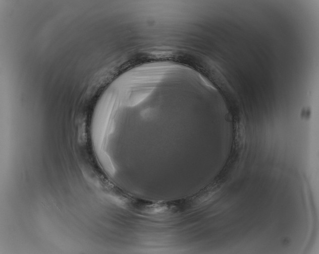 X0000111240267200907161349