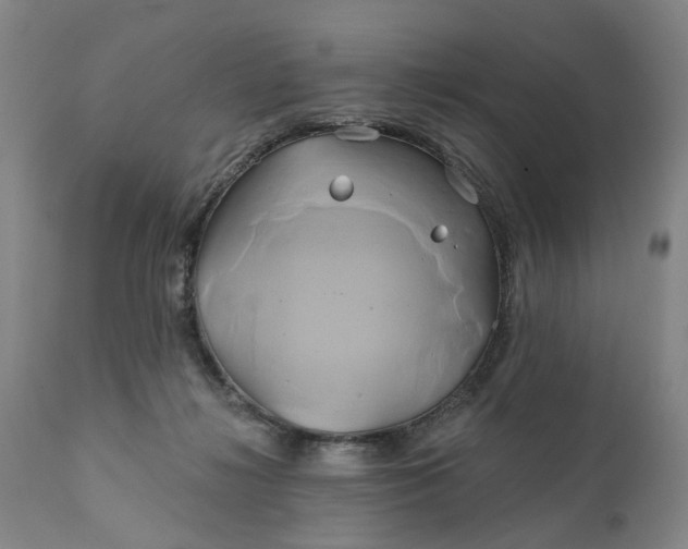 X0000111240268200907161349