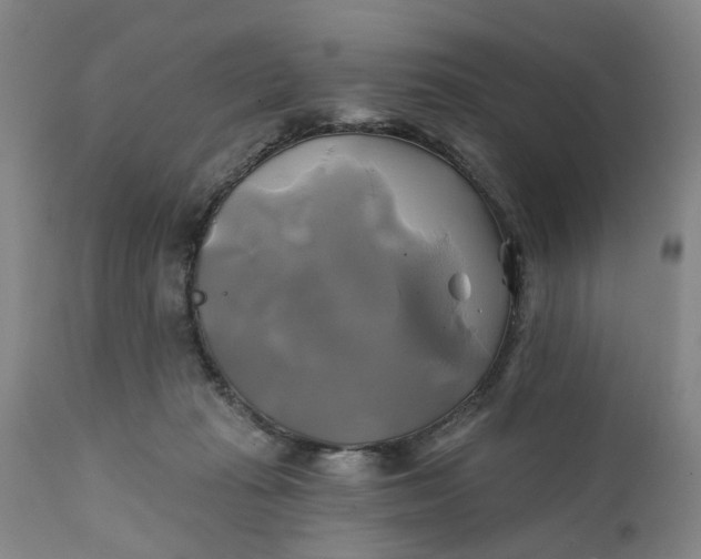 X0000111240269200907161349