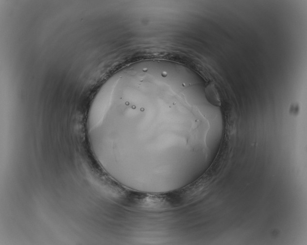 X0000111240270200907161349