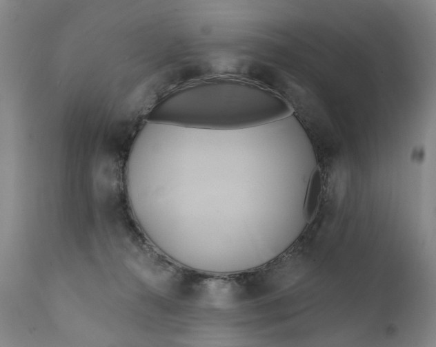 X0000111240272200907161349