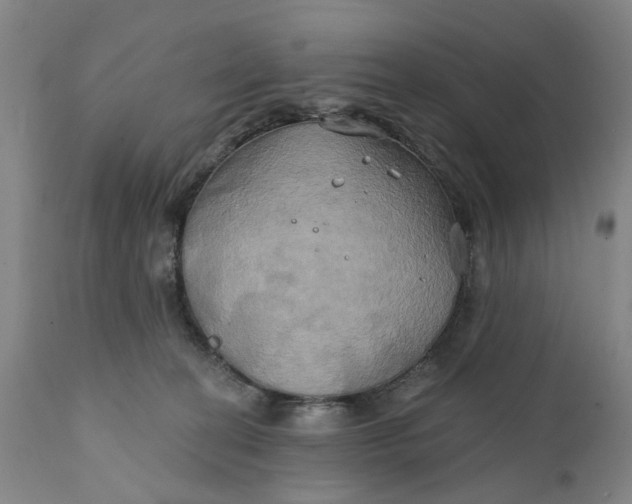 X0000111240274200907161349