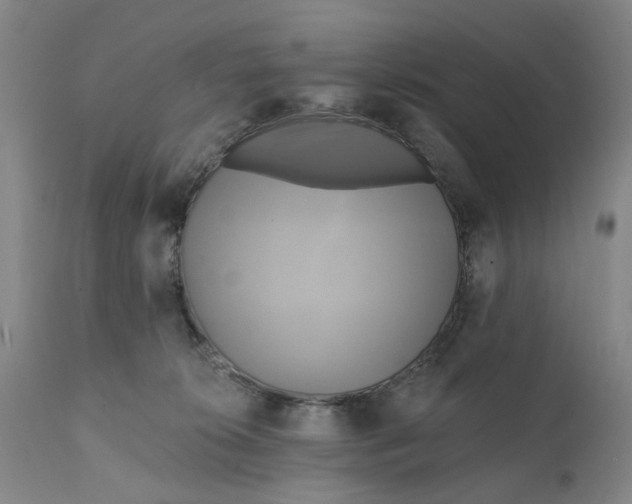 X0000111240276200907161349