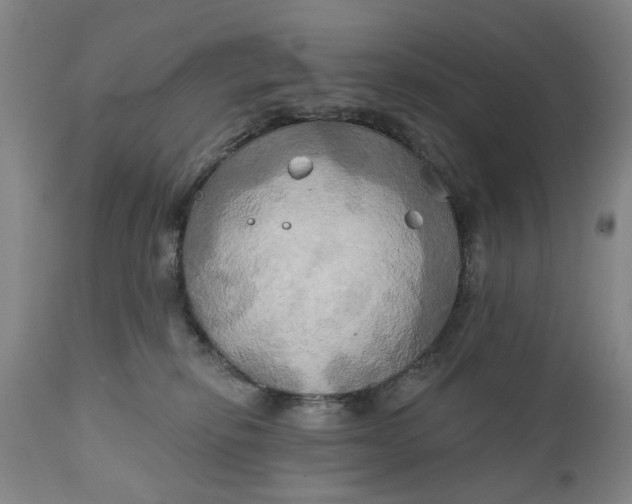 X0000111240278200907161349