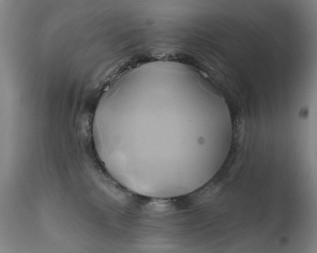 X0000111240280200907161349