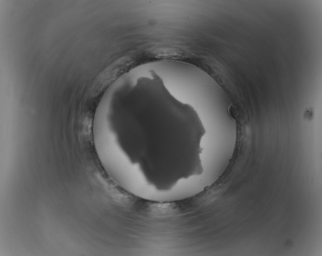 X0000111240281200907161349