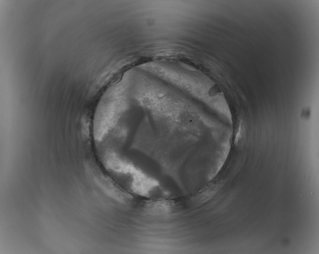 X0000111240282200907161349