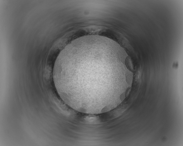 X0000111240283200907161349