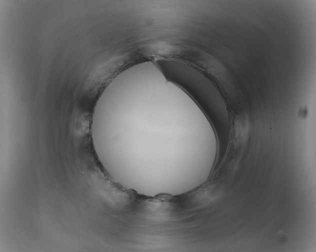 X0000111240284200907161349