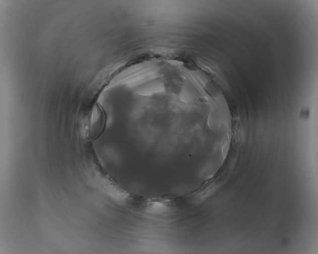 X0000111240285200907161349