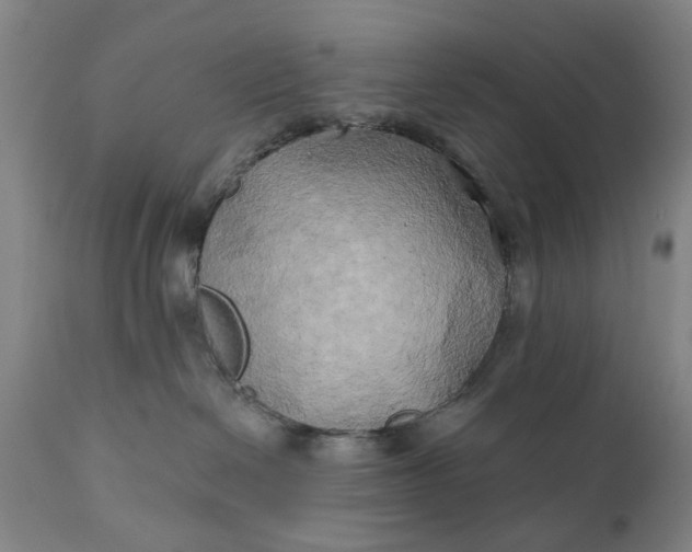 X0000111240286200907161349