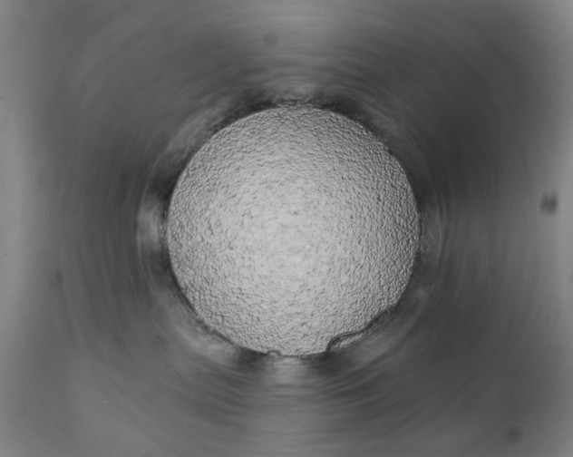 X0000111240287200907161349