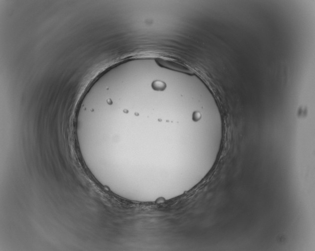 X0000111240289200907161348