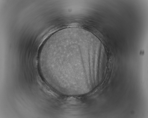 X0000111240290200907161348