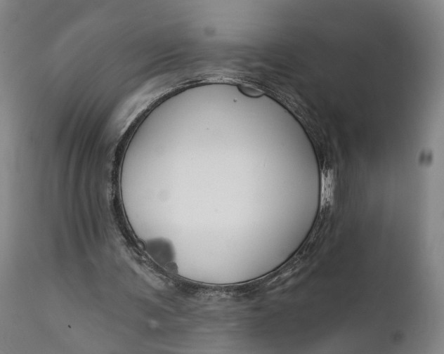 X0000111240291200907161348