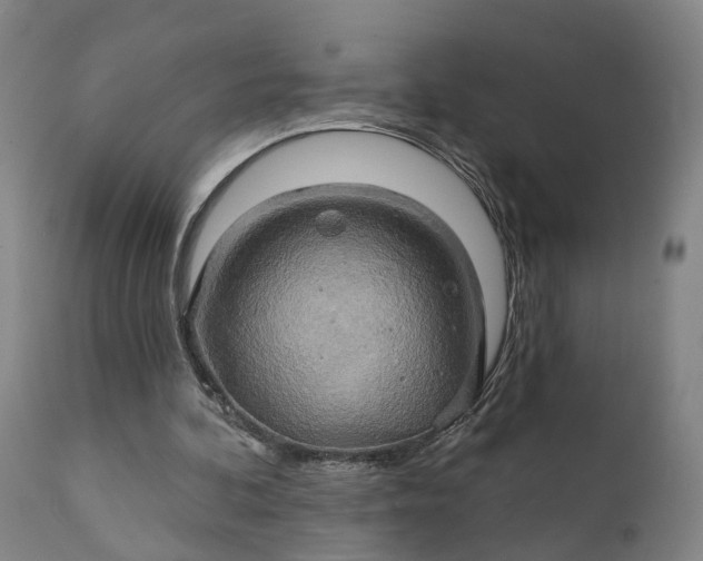 X0000111240292200907161348