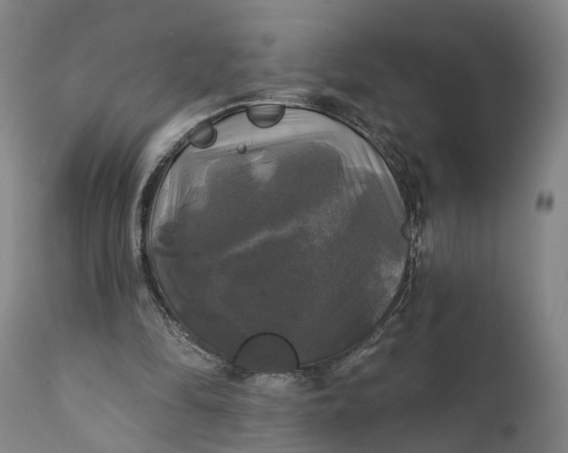 X0000111240294200907161348