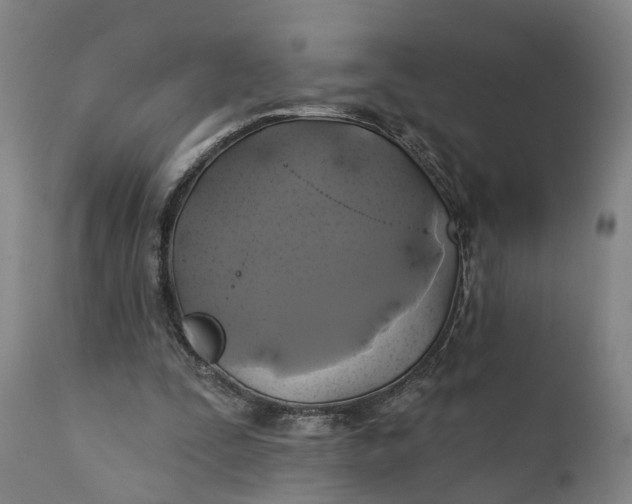 X0000111240295200907161348