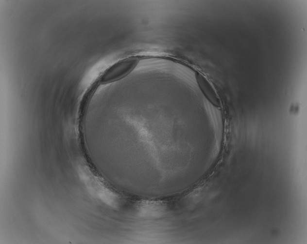 X0000111240296200907161348