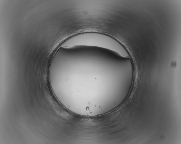 X0000111240297200907161348