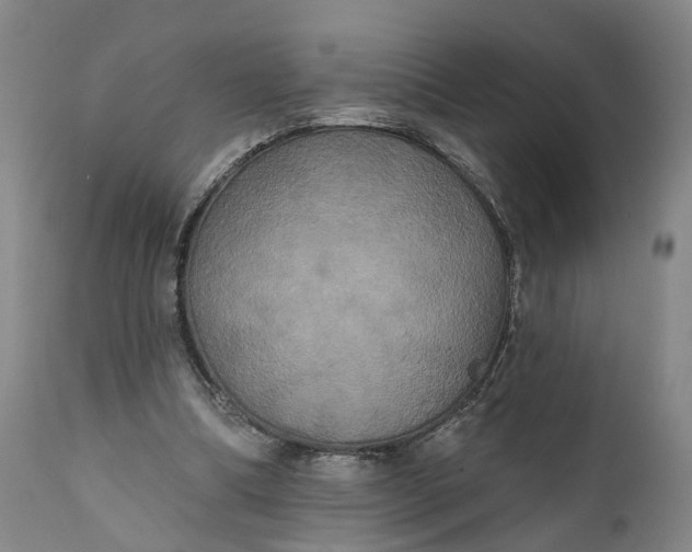 X0000111240298200907161348