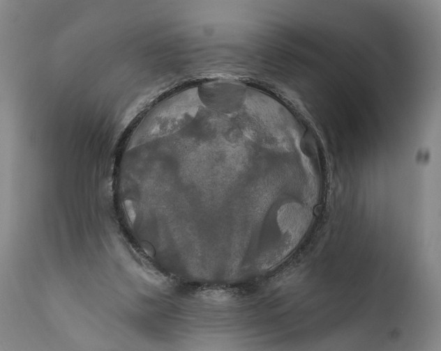 X0000111240299200907161348