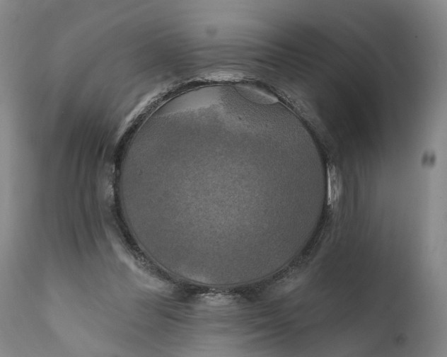 X0000111240300200907161348