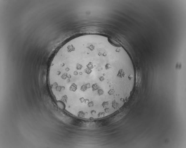 X0000111240301200907161348