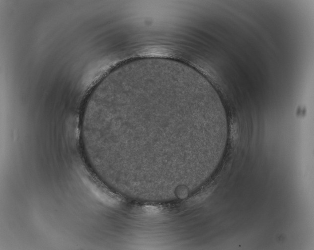 X0000111240302200907161348