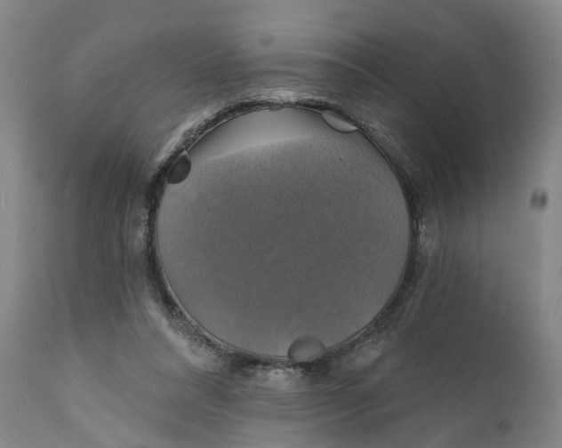 X0000111240304200907161348