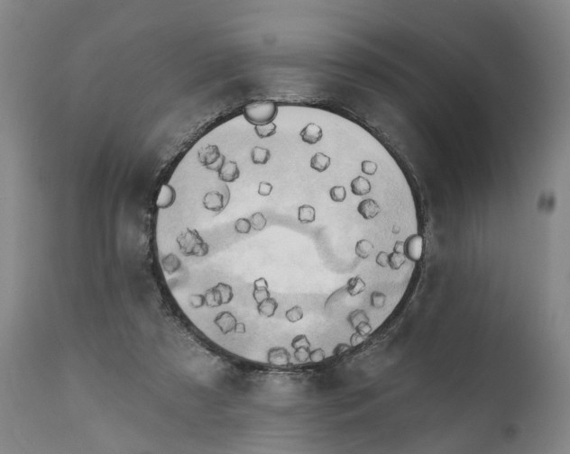 X0000111240305200907161348