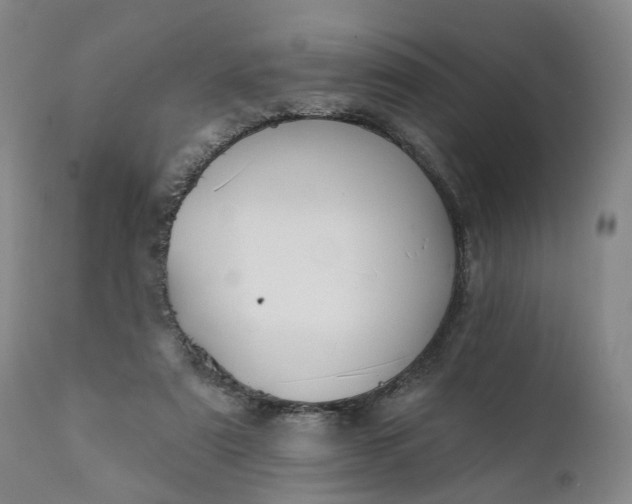 X0000111240307200907161348