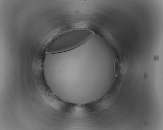 X0000111240308200907161348