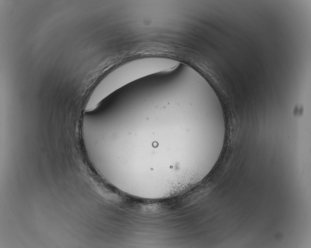 X0000111240309200907161348