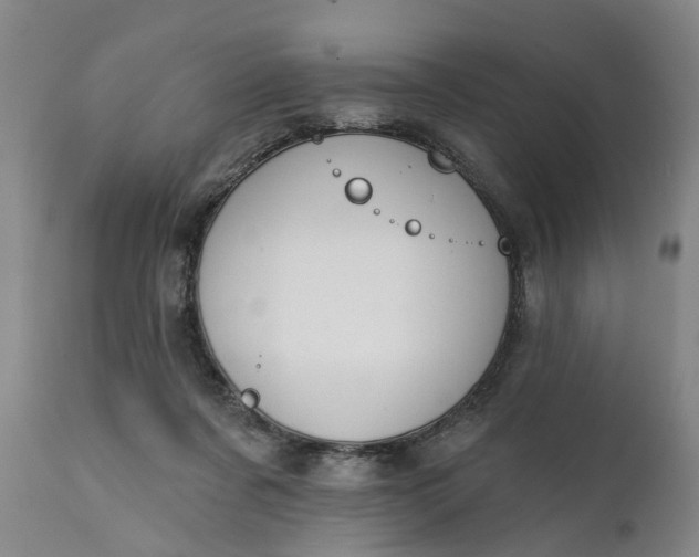 X0000111240311200907161348