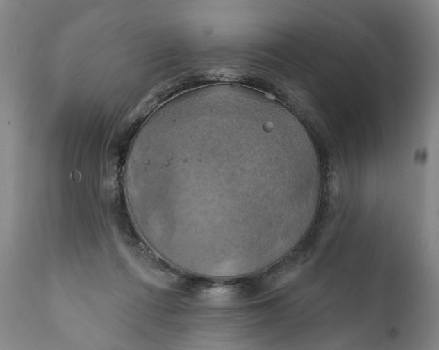 X0000111240312200907161348