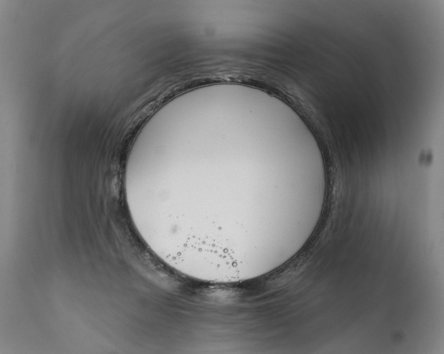 X0000111240313200907161348