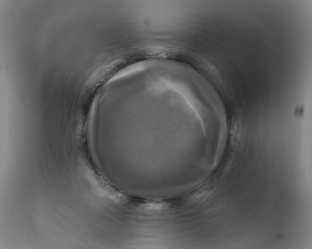 X0000111240314200907161348