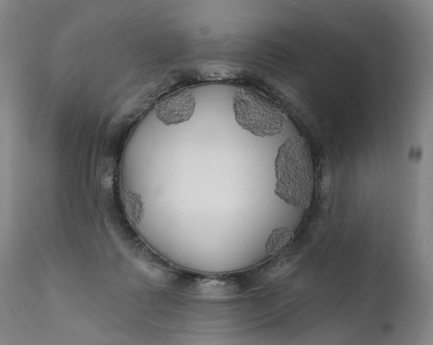 X0000111240315200907161348