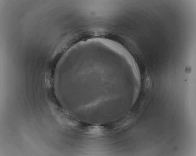 X0000111240316200907161348