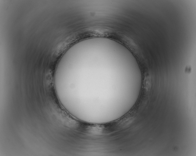 X0000111240318200907161348