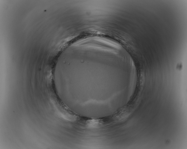 X0000111240320200907161348