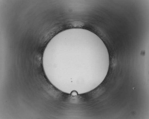 X0000111240321200907161348